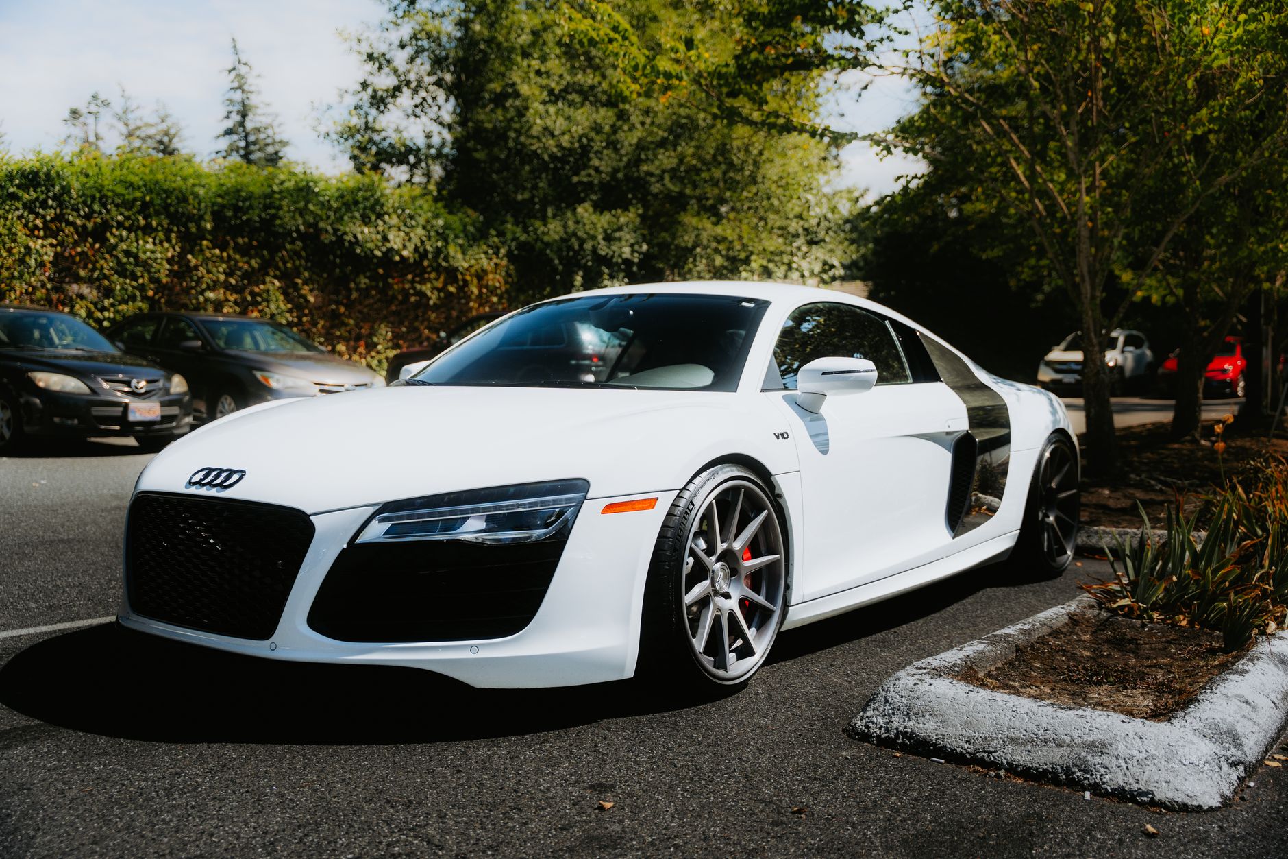 Is the Audi R8 V10 Spyder the Best Luxury Sports Car?