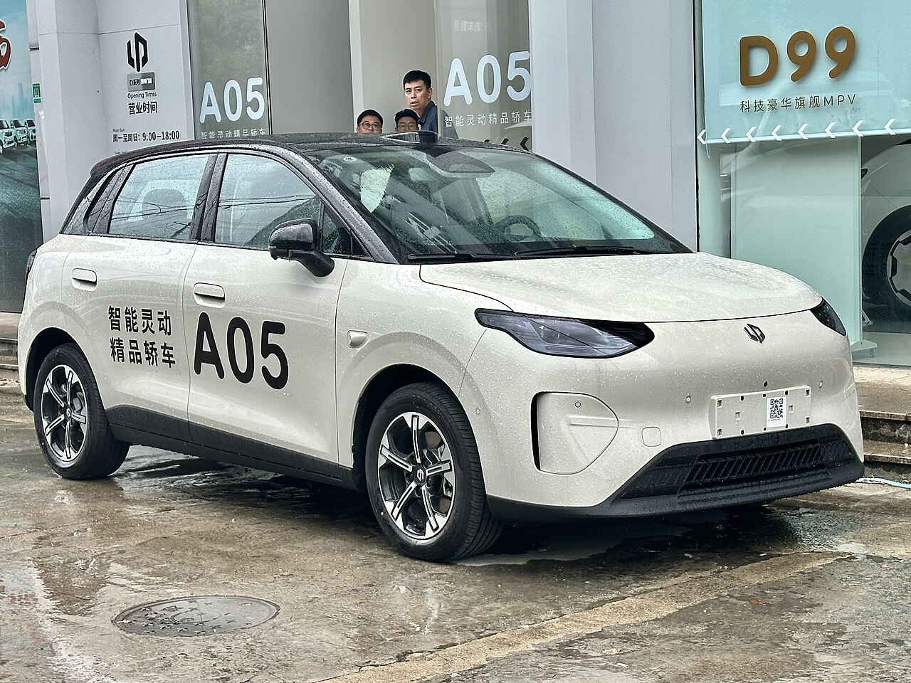 Affordable EV: Best Proven Option Against BYD Dolphin