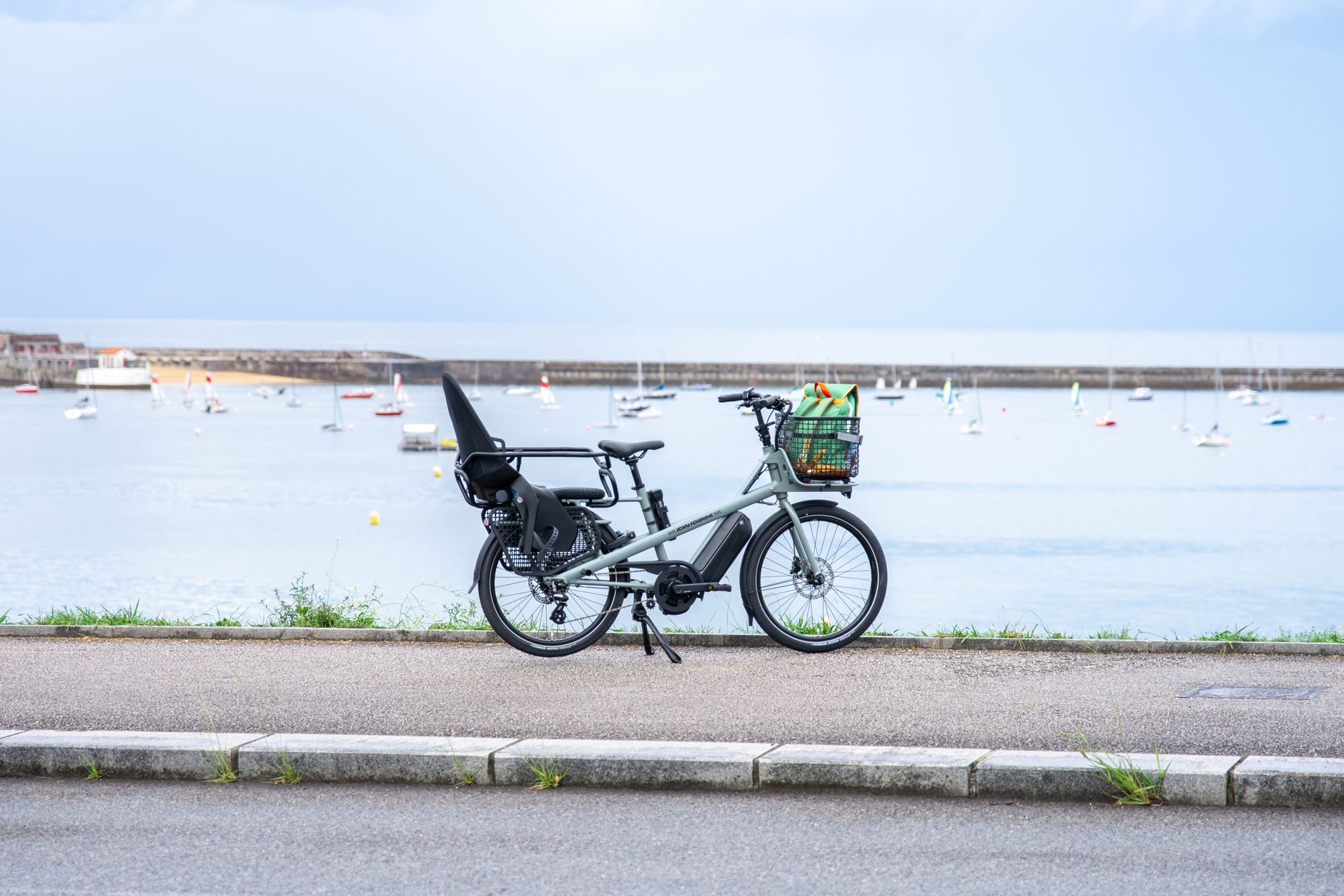 Electric Bikes for Families: Best Proven Picks in India