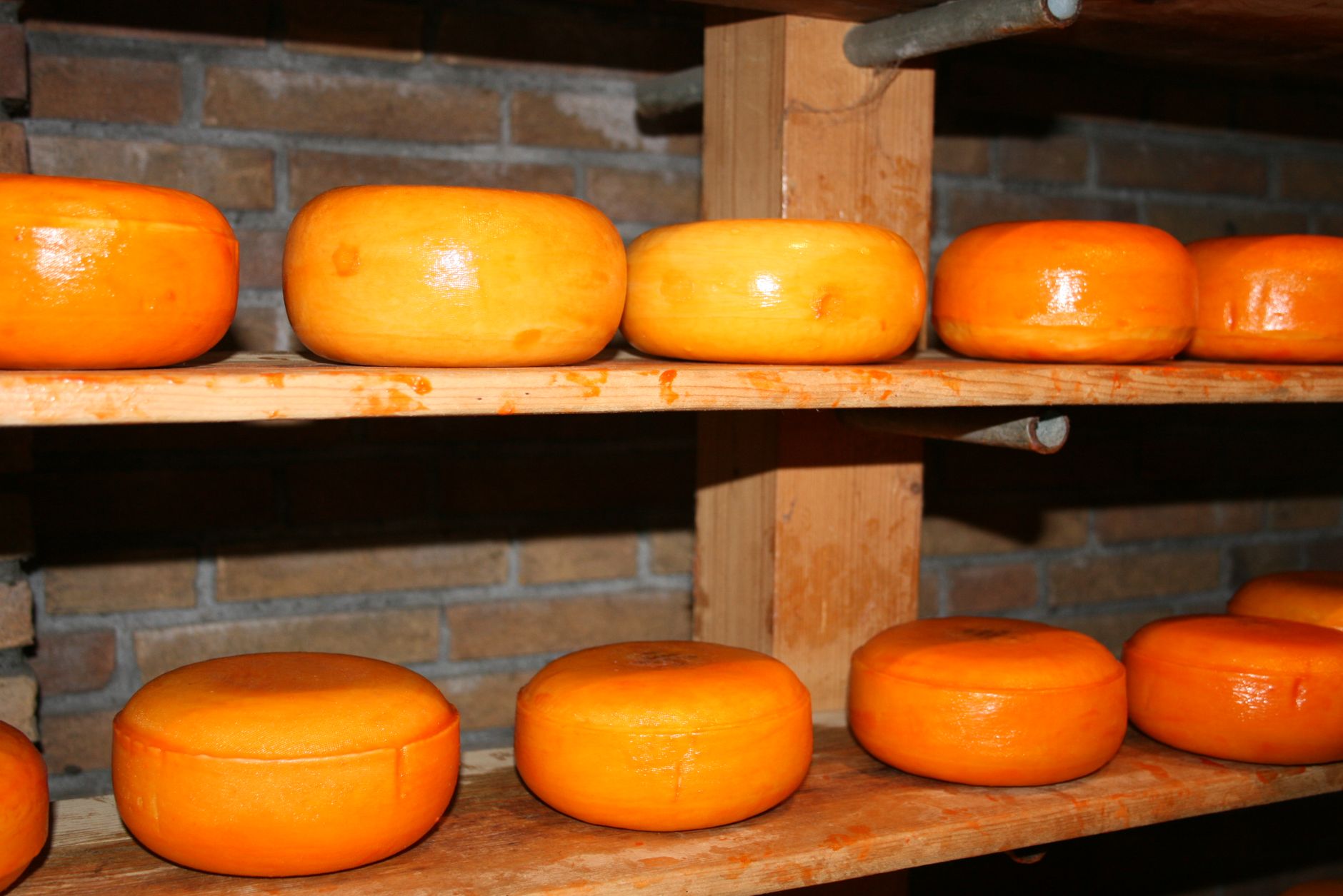 Raw Milk Cheddar Cheese Recall: Serious E. Coli Risk